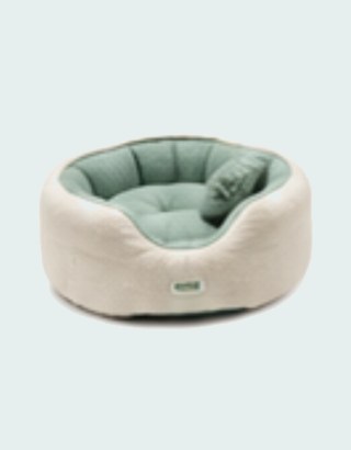 Beds & Furniture