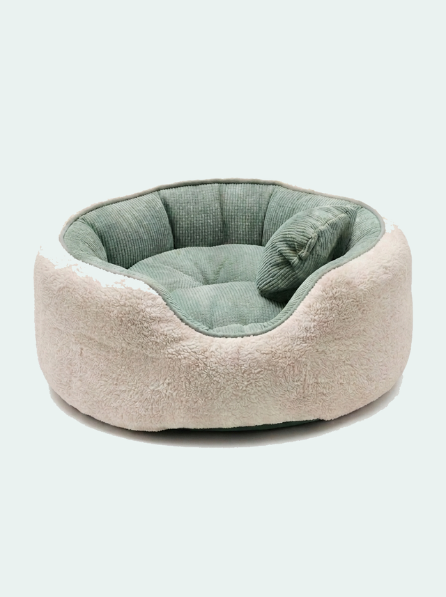 Beds & Furniture