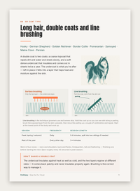Stop the Fur Cloud — The 2-Minute Grooming Routine